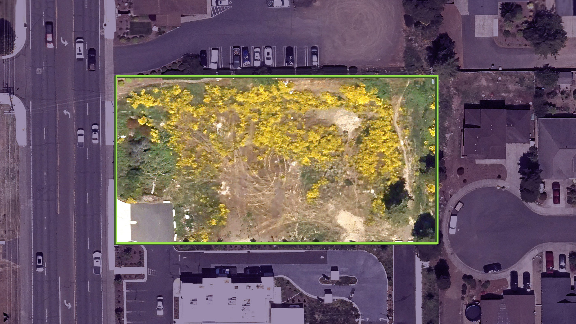 3590-highway-101-florence-or-97439