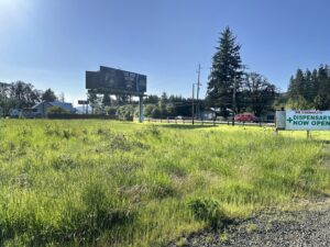 Salmon River Hwy TL 284398_06