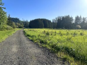 Salmon River Hwy TL 284398_07